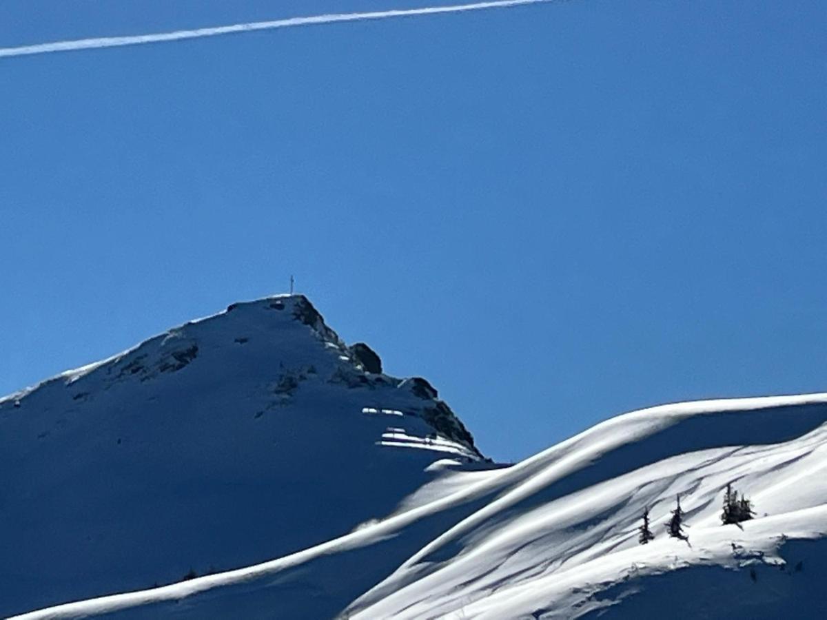Alpium - Luxusappartements Flachau